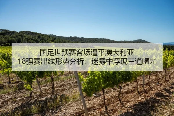 国足世预赛客场逼平澳大利亚 18强赛出线形势分析：迷雾中浮现三道曙光